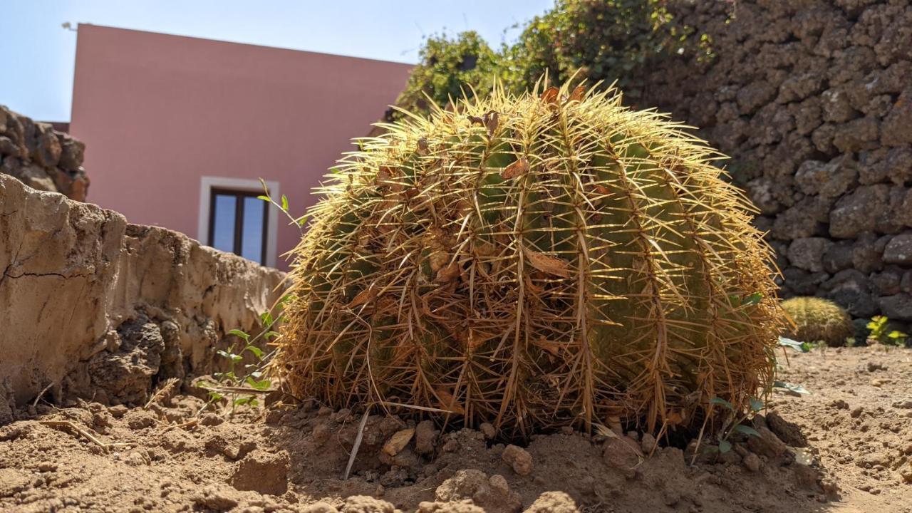 Bed and Breakfast Horizon Pantelleria Campobello Esterno foto