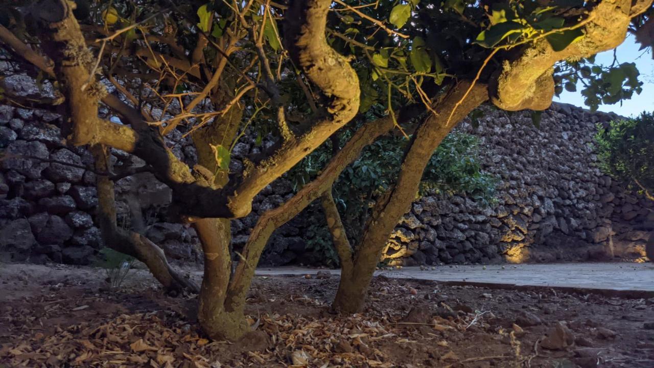 Bed and Breakfast Horizon Pantelleria Campobello Esterno foto