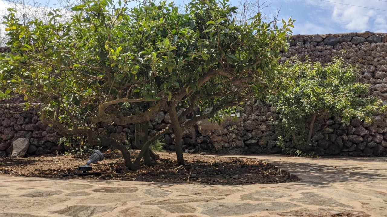 Bed and Breakfast Horizon Pantelleria Campobello Esterno foto